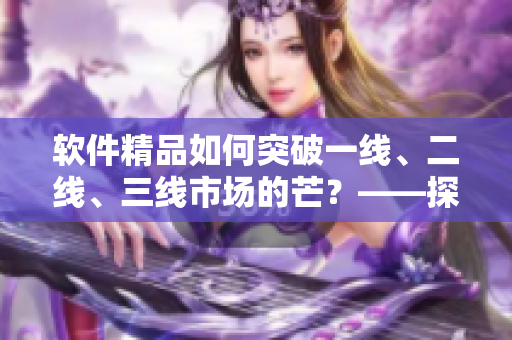 软件精品如何突破一线、二线、三线市场的芒？——探究软件市场分层策略