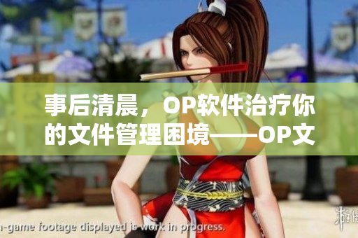 事后清晨，OP软件治疗你的文件管理困境——OP文件管理软件