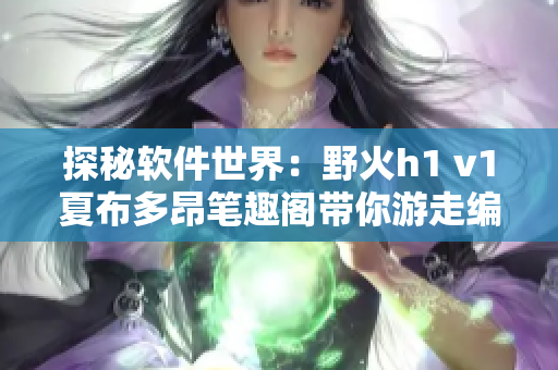 探秘软件世界：野火h1 v1夏布多昂笔趣阁带你游走编码风云