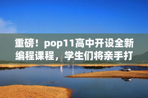 重磅！pop11高中开设全新编程课程，学生们将亲手打造自己的软件！