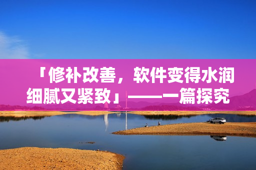 「修补改善，软件变得水润细腻又紧致」——一篇探究软件优化的新视角。