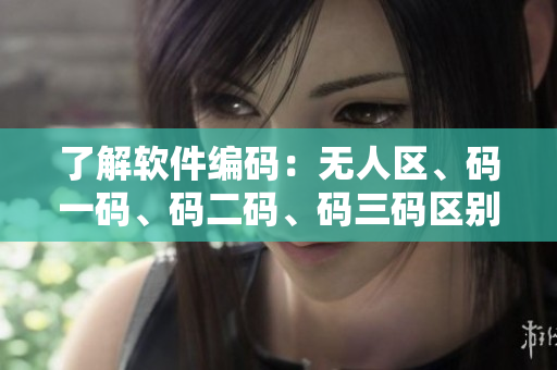 了解软件编码：无人区、码一码、码二码、码三码区别分析