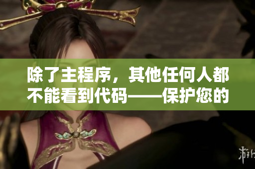 除了主程序，其他任何人都不能看到代码——保护您的商业软件安全！