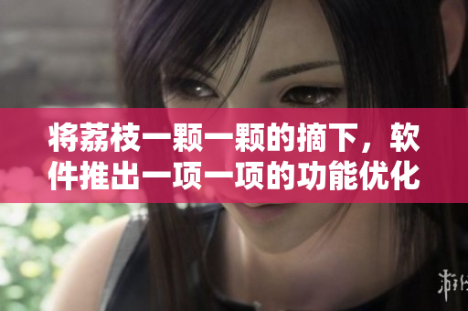 将荔枝一颗一颗的摘下，软件推出一项一项的功能优化