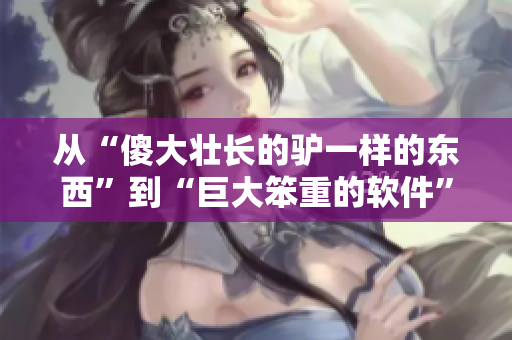 从“傻大壮长的驴一样的东西”到“巨大笨重的软件”，当软件优化变得重要