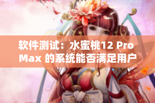 软件测试：水蜜桃12 Pro Max 的系统能否满足用户需求？