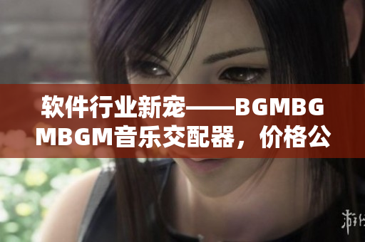 软件行业新宠——BGMBGMBGM音乐交配器，价格公布!
