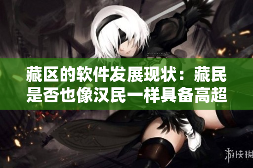 藏区的软件发展现状：藏民是否也像汉民一样具备高超的软件应用技能？