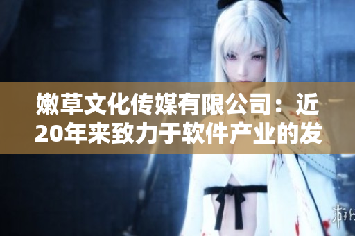 嫩草文化传媒有限公司：近20年来致力于软件产业的发展