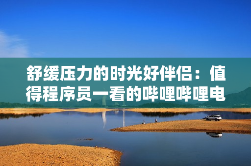 舒缓压力的时光好伴侣：值得程序员一看的哔哩哔哩电视剧