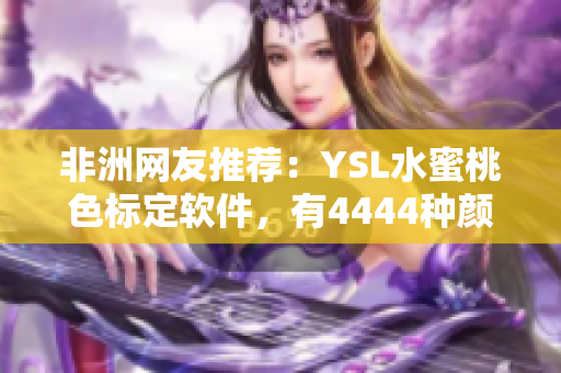 非洲网友推荐：YSL水蜜桃色标定软件，有4444种颜色选择！