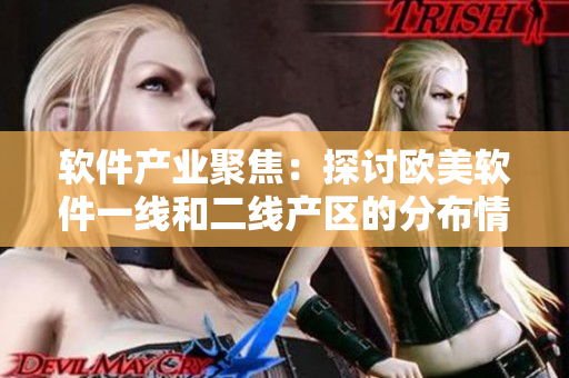 软件产业聚焦：探讨欧美软件一线和二线产区的分布情况