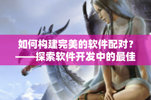 如何构建完美的软件配对？——探索软件开发中的最佳搭档策略