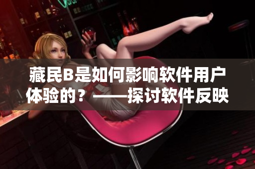 藏民B是如何影响软件用户体验的？——探讨软件反映跨文化需求的挑战
