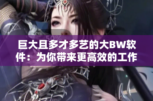 巨大且多才多艺的大BW软件：为你带来更高效的工作体验