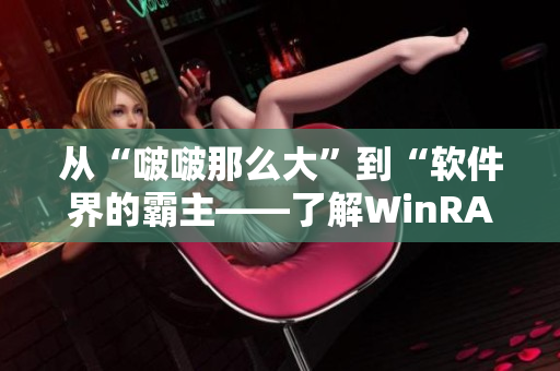 从“啵啵那么大”到“软件界的霸主——了解WinRAR”
