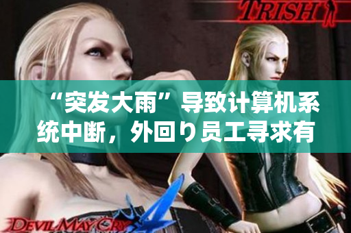 “突发大雨”导致计算机系统中断，外回り员工寻求有效软件解决方案