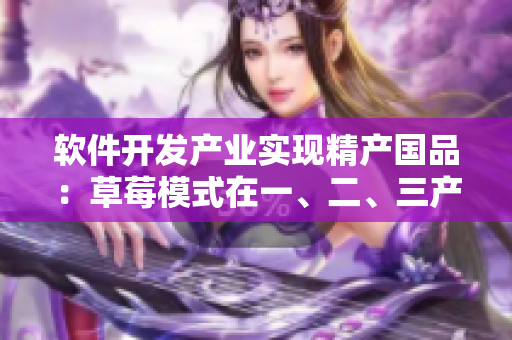 软件开发产业实现精产国品：草莓模式在一、二、三产区的应用实践