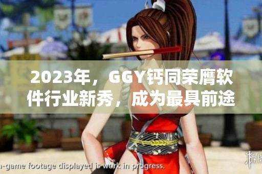 2023年，GGY钙同荣膺软件行业新秀，成为最具前途的软件品牌！