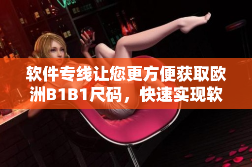 软件专线让您更方便获取欧洲B1B1尺码，快速实现软件与欧亚贸易！