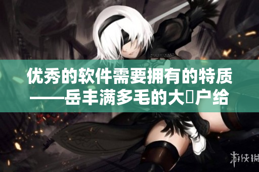 优秀的软件需要拥有的特质——岳丰满多毛的大隂户给我们的启示