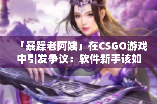 「暴躁老阿姨」在CSGO游戏中引发争议：软件新手该如何应对？