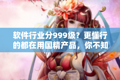软件行业分999级？更懂行的都在用国精产品，你不知道的黑科技！