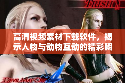 高清视频素材下载软件，揭示人物与动物互动的精彩瞬间