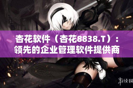 杏花软件（杏花8838.T）：领先的企业管理软件提供商