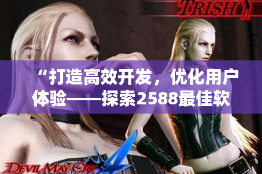 “打造高效开发，优化用户体验——探索2588最佳软件实践”
