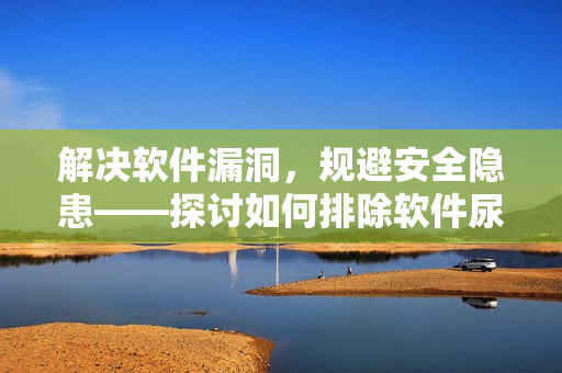 解决软件漏洞，规避安全隐患——探讨如何排除软件尿卡问题