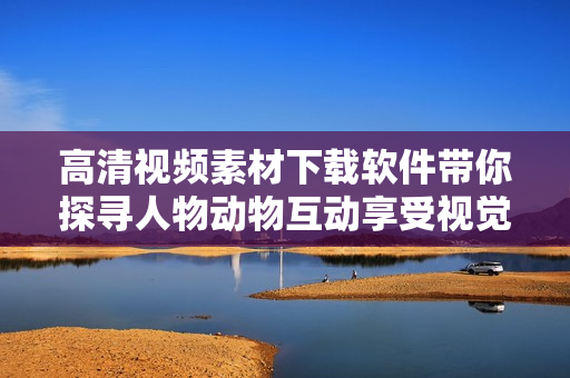 高清视频素材下载软件带你探寻人物动物互动享受视觉盛宴