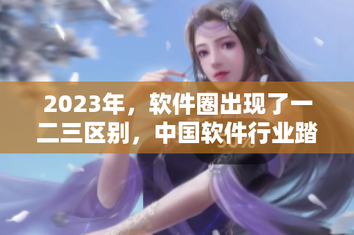 2023年，软件圈出现了一二三区别，中国软件行业踏上新航程