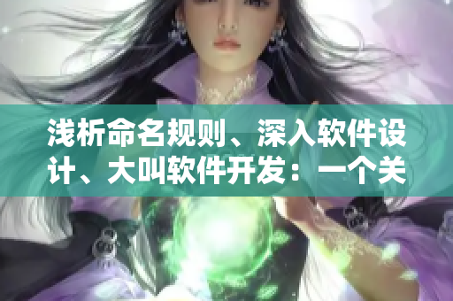 浅析命名规则、深入软件设计、大叫软件开发：一个关于软件的综合指南