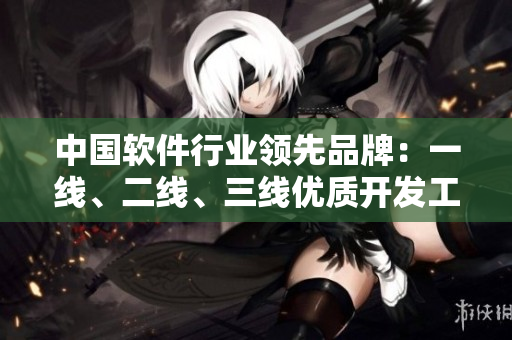 中国软件行业领先品牌：一线、二线、三线优质开发工具汇总