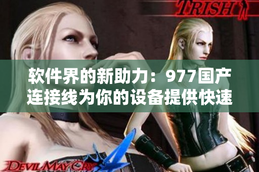 软件界的新助力：977国产连接线为你的设备提供快速稳定的数据传输