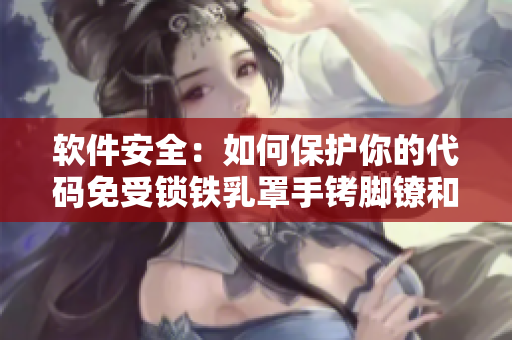 软件安全：如何保护你的代码免受锁铁乳罩手铐脚镣和项圈锁的攻击？