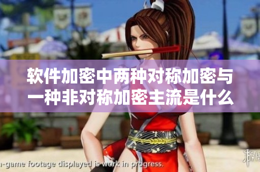 软件加密中两种对称加密与一种非对称加密主流是什么意思？