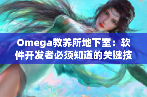 Omega教养所地下室：软件开发者必须知道的关键技能与经验！