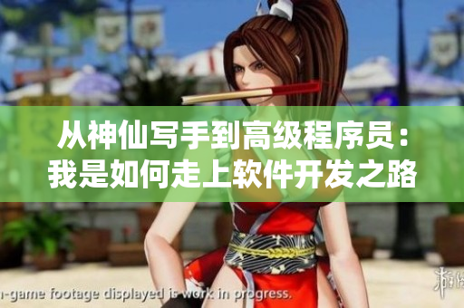 从神仙写手到高级程序员：我是如何走上软件开发之路的