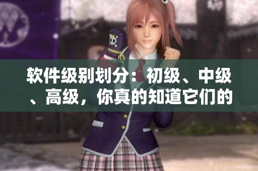 软件级别划分：初级、中级、高级，你真的知道它们的区别吗？