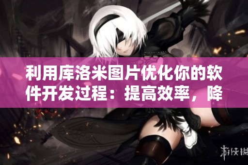 利用库洛米图片优化你的软件开发过程：提高效率，降低成本