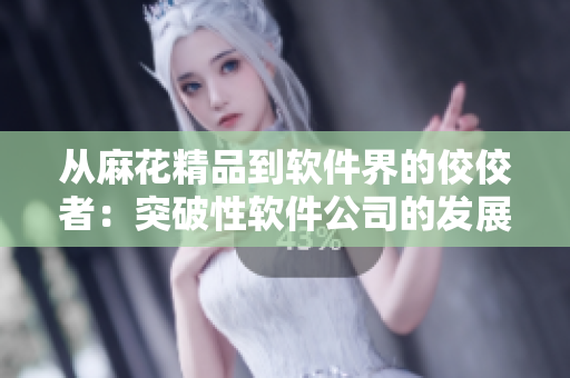 从麻花精品到软件界的佼佼者：突破性软件公司的发展历程