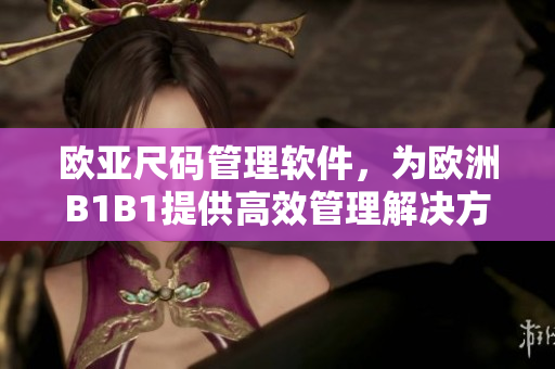 欧亚尺码管理软件，为欧洲B1B1提供高效管理解决方案
