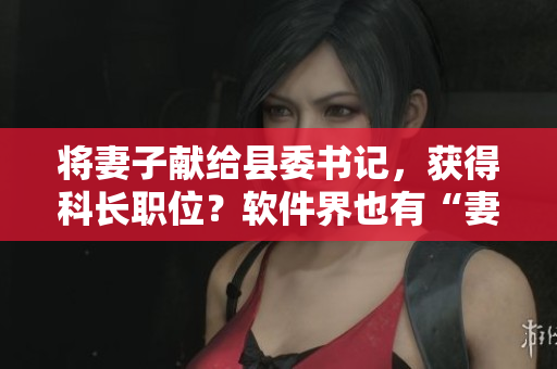 将妻子献给县委书记，获得科长职位？软件界也有“妻子”吗？