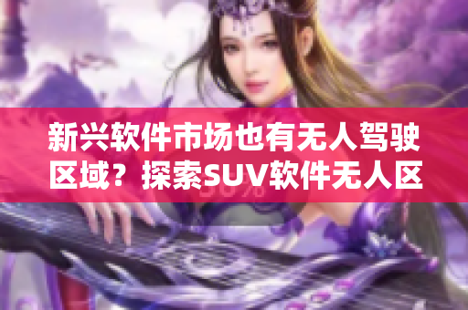 新兴软件市场也有无人驾驶区域？探索SUV软件无人区