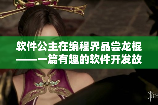 软件公主在编程界品尝龙棍——一篇有趣的软件开发故事