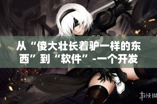 从“傻大壮长着驴一样的东西”到“软件”-一个开发者的升级之路