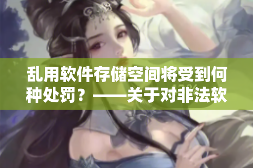 乱用软件存储空间将受到何种处罚？——关于对非法软件存储的惩罚措施