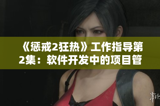 《惩戒2狂热》工作指导第2集：软件开发中的项目管理技巧